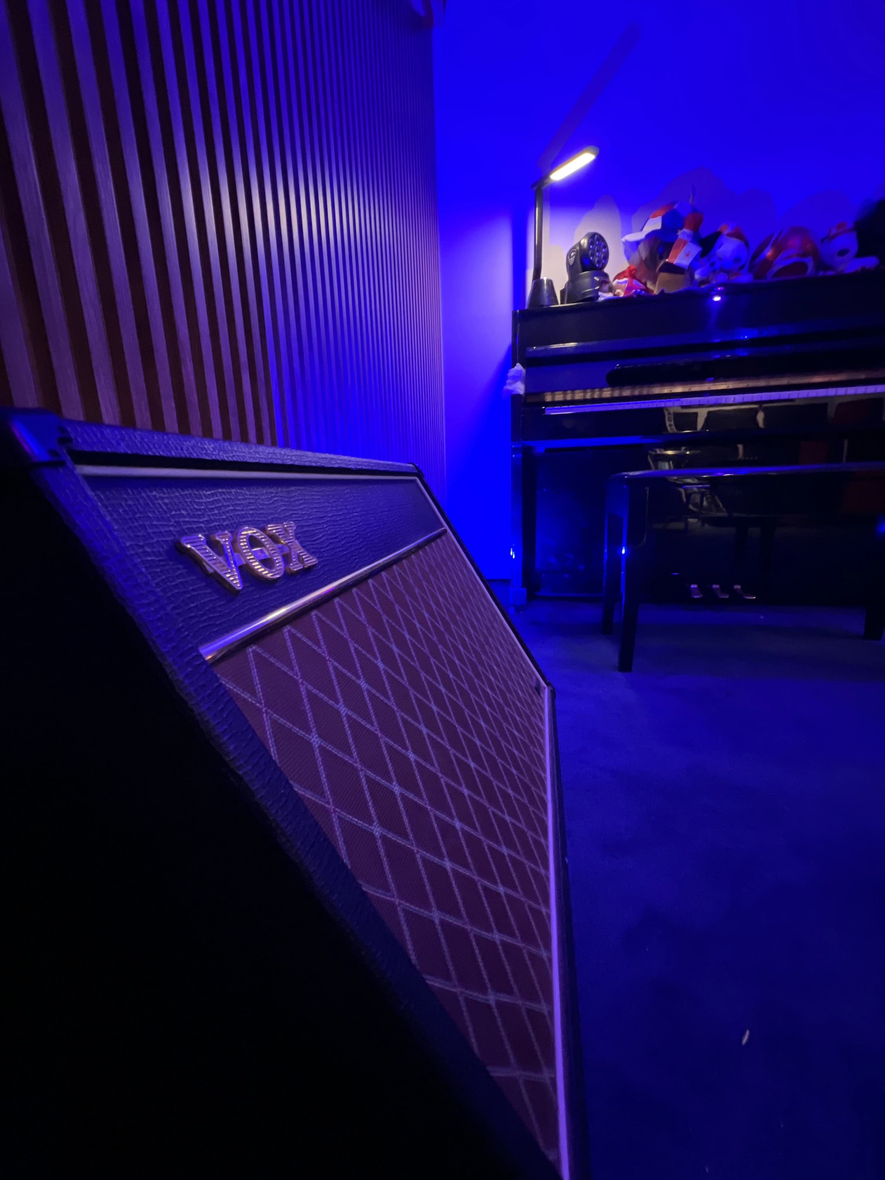 Acoustic Treatment & Amplifiers
